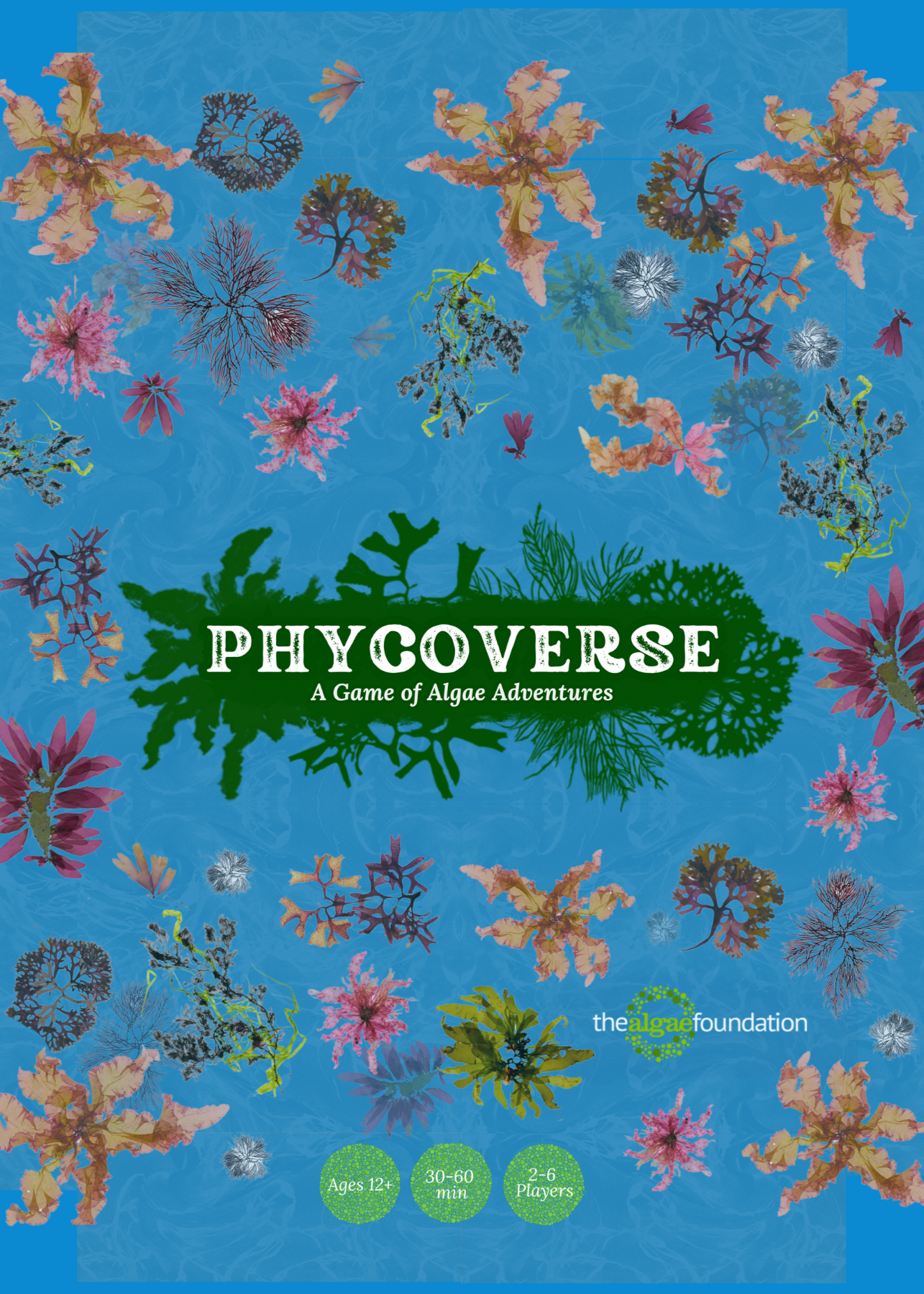 Cover for 'Phycoverse: A Game of Algae Adventures'. The background is bright blue, resembling water. Various colorful algae illustrations are scattered across the image, ranging from delicate branching structures to leaf-like forms in shades of pink, green, brown, and purple. The game title is displayed in white text on a green algae-shaped banner in the center. At the bottom, it shows the game is for ages 12+, takes 30-60 minutes, and is for 2-6 players. The logo for 'The Algae Foundation is visible