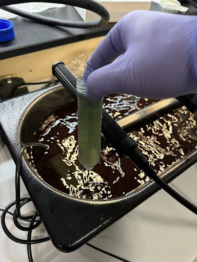 A gloved hand holding a small vial of green algae collected from the raceway below. The vial is being held over a the running raceway pond.